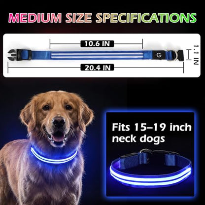 Neon LED Light Up Dog Collar for Night Walking, Rechargeable Safety Glow Illuminated Collar with 3 Modes Flashing, Reflective Adjustable Pet Light for Small/Medium Dogs Puppy 15-19" Neck (Blue) - color: 1-Pack(Blue)&Medium