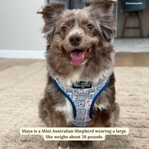 Lucy & Co. Tinned Fish No-Pull Dog Harness, Adjustable Front Clip Harness with Comfort Padding, Small - color: Tinned Fish, size: Small