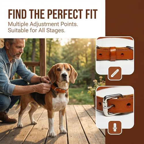 XanYu Premium Genuine Leather Dog Collar – Adjustable Heavy Duty Pet Collar with Sturdy Metal Buckle, Soft & Classic for Puppy and Small, Medium, Large Dogs (Tan)