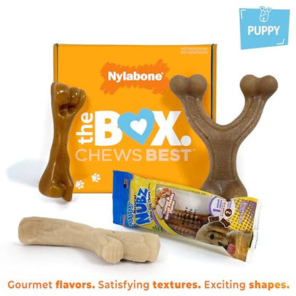 Nylabone Puppy Gift Box, Includes 3 Strong Puppy Chew Toys and 1 Natural Treat Bone for Puppies, Gifts for Puppies, Small Dogs - Up to 25 lbs., 4 Pack - size: Puppy (4 Count)