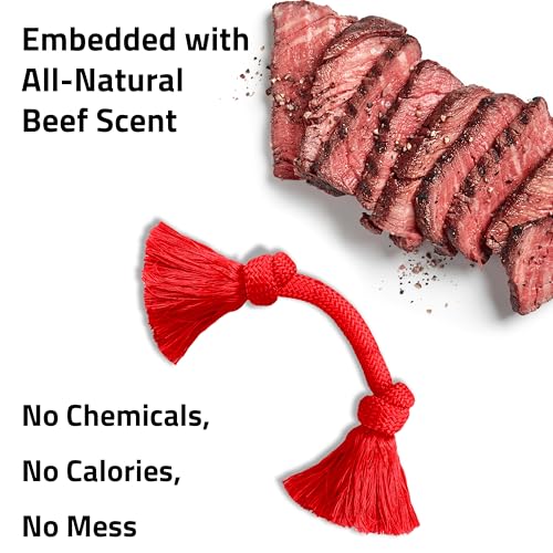 Playology Dog Toys | Dri-Tech Rope Toy Tug of War Rope for Aggressive Chewers | Medium Beef Scented Toy - Easy to Clean and Made from Non Toxic Materials - size: Medium, style: Beef