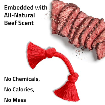 Playology Dog Toys | Dri-Tech Rope Toy Tug of War Rope for Aggressive Chewers | Medium Beef Scented Toy - Easy to Clean and Made from Non Toxic Materials - size: Medium, style: Beef