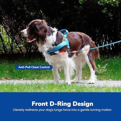 Didog No Pull Dog Harness with Soft Mesh Padded,Reflective & Quick Fit Light Weight Dog Strap Vest Harness,Easy for Walking Training (M:Chest 21-26", Mesh-Blue) - color: Blue, size: M: Chest 21-26", Fit 28-50 lbs