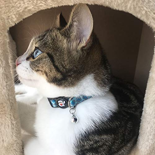 4 Pack Halloween Kitten Collar Breakaway,Quick Release Safe Buckle Adjustable Kitten Collars, Skull Crossbones, Crossbones, Pink Leopard and Blue Leopard - color: 4#Leopard grain, size: Kitten(Neck:6"-8")