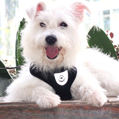 Pet Dog Vest Harnesses Puppy Cotton Polyester Adjustable Dog Mesh Harness Travel Chest Strap Vest Reflective (L, Black) - color: Black, size: L