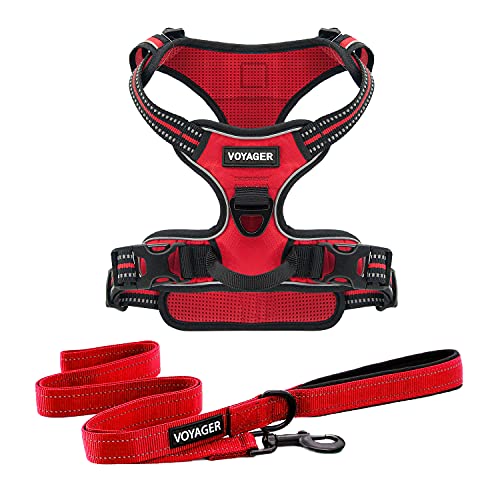 Voyager Dog Harness Dual Leash Attachment No-Pull Control Adjustable Soft but Strong Pet Harness for Medium and Large Dogs with 3M Reflective Technology, Leash Set Red Nylon, L (Chest: 25-30") - color: Leash Set Red Nylon, size: L (Chest: 25 - 30")