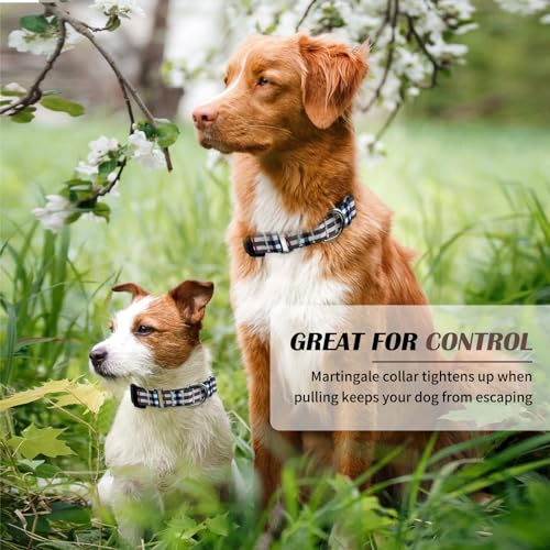 Hikiko Plaid Dog Collar for XSmall Puppy Dogs with Adjustable Nylon Martingale Collars Quick Release Buckle (Beige Plaid,X-Small) - color: Beige plaid, size: X-Small