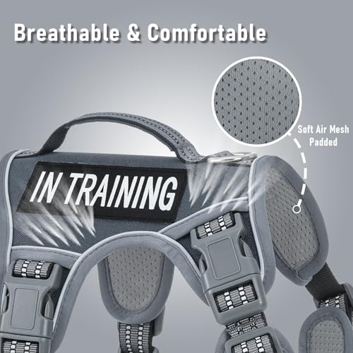No Pull Dog Harness for Large Dogs with 2 Metal Clips, Easy On/Off with Neck Buckle, Heavy Duty Adjustable Tactical Puppy Vest, Breathable Pet Harness with Easy Control Handle, Gray L - color: Gray, size: Large