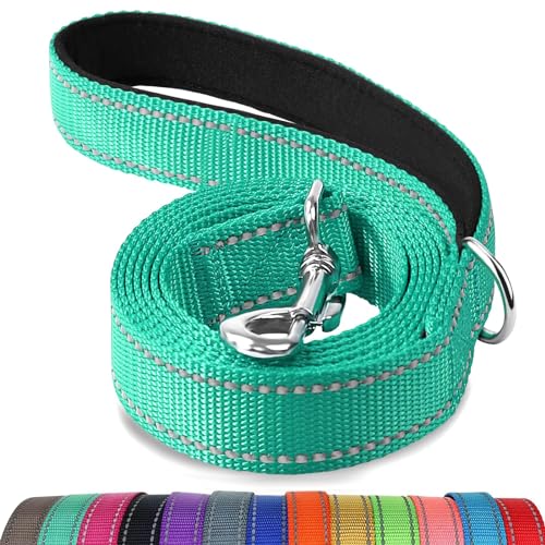 Joytale Dog Leash, 4 FT Double-Sided Reflective, Padded Handle Nylon Heavy Duty Leashes for Medium & Large Dogs Walking, Teal - color: Teal, size: 4 ft Standard
