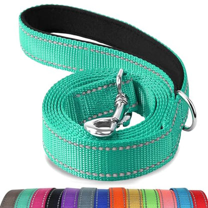 Joytale Dog Leash, 4 FT Double-Sided Reflective, Padded Handle Nylon Heavy Duty Leashes for Medium & Large Dogs Walking, Teal - color: Teal, size: 4 ft Standard