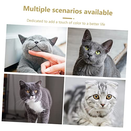 POPETPOP Cat Toy Feather Teaser Rod with Collar Kitten Teaser Toy for Indoor Play Exercise