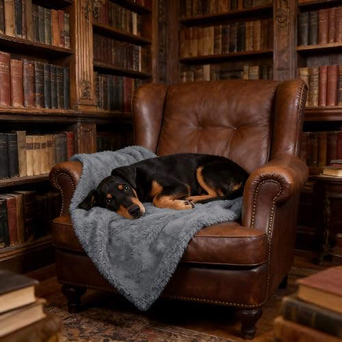 Grey Large Dog Blanket, Super Soft Fluffy Sherpa Fleece Dog Couch Blankets and Throws for Large Medium Small Dogs Puppy Doggy Pet Cats, 50x60 inches - color: Dark Grey