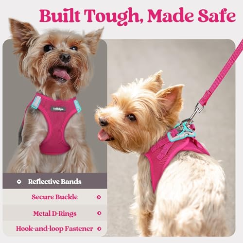 rabbitgoo Dog Harness Small Sized and Leash Set, Step in Soft Light Puppy Vest, Breathable Mesh Pet Harness, Reflective for Safe Easy Walking, Rose Red S - color: Rose Red, size: S (chest: 15.1 - 16.5")