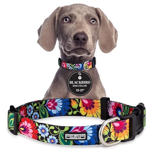 Lucky Love Dog - Adjustable Dog Collar with Easy Click Buckle for Medium, Durable, & Comfortable for Male & Female Dogs, Pet Collar for Puppies & Adult Dogs - Blackbird, Medium - color: Blackbird Collar Only, size: Medium | 13-21"