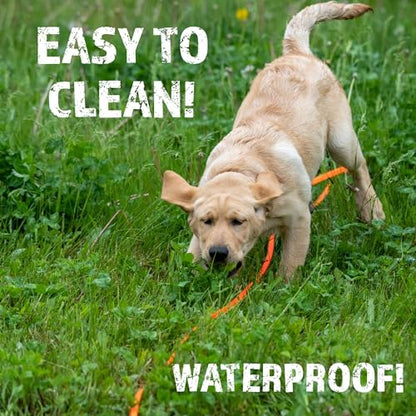 RigidBuilt Tracking Leash & Long Check Cord | 30 Feet | Waterproof Standard Dog Leash | Heavy Duty & Easy to Clean Hunting Dog Accessories - size: Small (5-40 lbs)