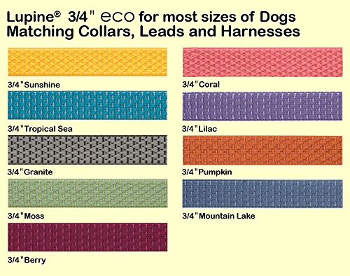 LupinePet Eco 3/4" Mountain Lake 20-30" Step In Harness for Medium Dogs - size: Harness - 3/4"W; 20-30" Girth
