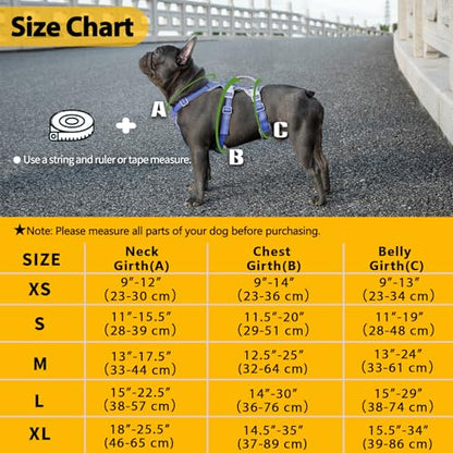Huntboo Escape Proof Dog Harness, No Pull Reflective Harness with Lift Handle, Adjustable Pet Vest with Front and Back Leash Clips for Small Medium Large Dogs Walking Hiking Training (Vista Blue,XL) - color: Vista Blue, size: X-Large(pack of 1)