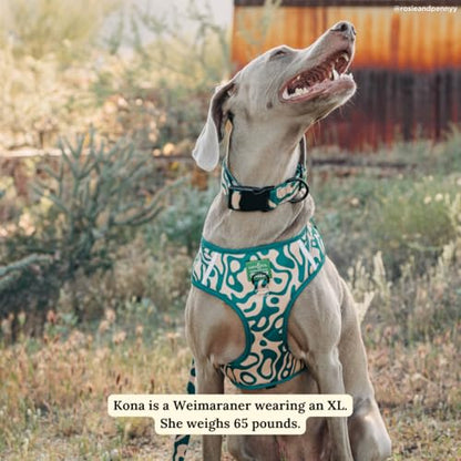 Lucy & Co. x Parks Project Geyser No-Pull Dog Harness, Adjustable Front Clip Harness with Comfort Padding, Small - color: Geyser, size: Small