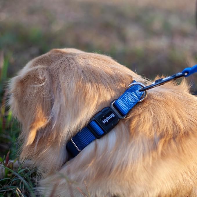 Medium Dog Collar, Blue:Heavy-Duty Quick-Release Nylon Buckle, Adjustable & Durable, Cute Dog Collar (Medium, Classic Blue) - color: Classic Blue, size: Medium