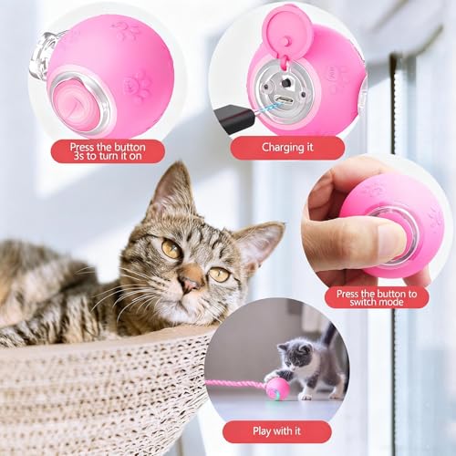 FUNNYDUCK Speed 2.0 Tail Interactive Cat Toy – Motion-Activated Rolling Ball with Chirping Sounds, USB Rechargeable Smart Ball Toy for Indoor Cats & Kittens, Enrichment & Exercise - color: Pink