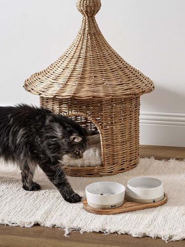 LE TAUCI PET Ceramic Dog and Cat Bowls Set with Acacia Wood Tray - 2 Cup Weighted Non-Slip Food and Water Dishes for Small Dogs & Cats, Pet Bowl Set of 2 - size: S-2 Cups