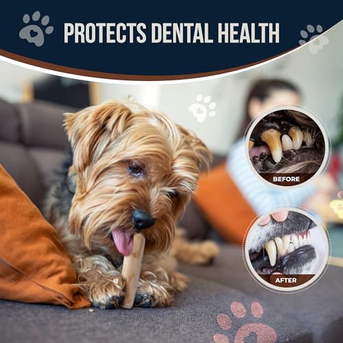 Coffee Wood Dog Chew Sticks 6.5" & Dog Rope Toys for Puppy - 100% Natural Puppy Chew for Teething, Organic Wood Stick - Size XS - size: Extra Small