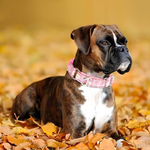 Pink Daisy Martingale Dog Collars for Dogs, Reflective Nylon Dog Collar with Buckle Adjustable Training, Walking, Hunting No Slip Dog Collar (Small, Daisy) - color: 1, size: S