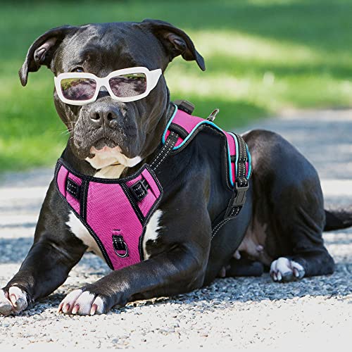 Safety LED Dog Harness - Light Up Dog Vest, No-Pull Dog Harness - Rechargeable Glowing Pet Harness for Night Walking & Camping (Pink+Blue Light, Medium) - color: Pink+Blue Light, size: Medium
