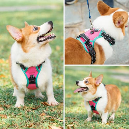 PHOEPET 2019 Upgraded No Pull Dog Harness, Reflective Adjustable Vest, with a Training Handle + 2 Metal Leash Hooks+ 3 Snap Buckles +4 Slide Buckles(S, Pink) - color: Pink, size: Small