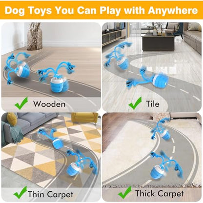 Interactive Dog Toys Ball - Fun Moving Dog Toys to Keep Them Busy | Rechargeable Smart Automatic Dog Ball for Large, Medium, and Small Puppy Dogs for Boredom, Blue