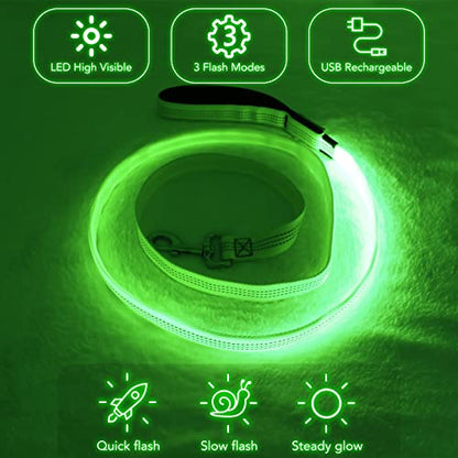 Colaseeme Light Up Dog Leash, LED Pet Leashes USB Rechargeable, Glow Safety Dogs Lights at Night (4FT,Green & Reflective Wires) - color: Green & Reflective Wires, size: 4FT