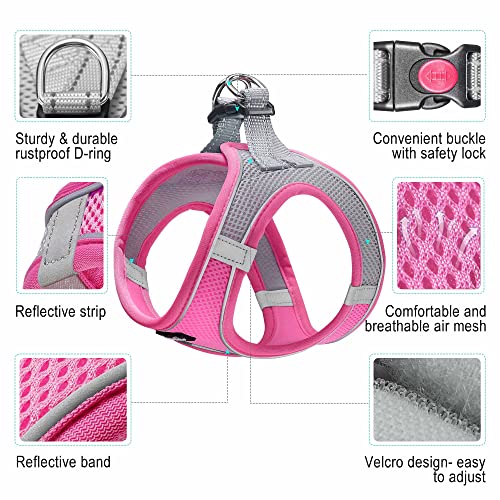 haapaw Dog Harness with Leash Set, No Pull Adjustable Reflective Step-in Puppy Harness with Thickened Padded Vest for Extra-Small/Small Medium Dogs - color: Grey / Pink, size: M