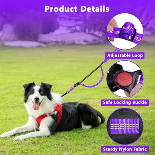 Hands Free Dog Leash with Zipper Pouch, Running Waist Leash for Dog Walking, Adjustable Waist Belt for Large Dogs, Reflective Bungee Design with Two Handle for Hiking, Training, Purple - color: Purple