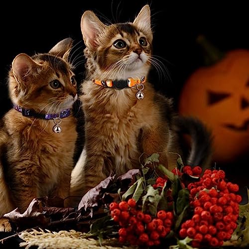 4 Pack Halloween Kitten Collars Breakaway with Bells, Adjustable Cat Collars with Safety Buckle,Adjustable from 6"-8", Skull and Crossbones,Ghosts, Spider and Pumpkin Prints - color: 8#Spider, size: Kitten(Neck:6"-8")