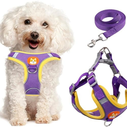 Adjustable No-Pull Dog Harness for Small and Medium Dogs, Comfortable Reflective Vest with Leash Set and Dual Clips, Secure and Lightweight Pet Walking Gear