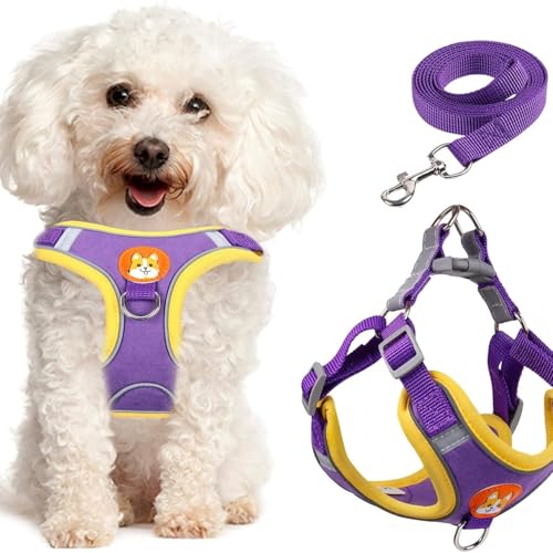 Adjustable No-Pull Dog Harness for Small and Medium Dogs, Comfortable Reflective Vest with Leash Set and Dual Clips, Secure and Lightweight Pet Walking Gear