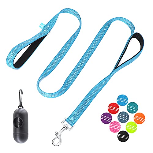 BAAPET Two Handle Dog Leash, Dual Soft Padded Handles with Traffic Control Handle Leash for Small Medium or Large Dogs (3/4'' x 5 FT, Blue) - color: Blue, size: 2 Handle (3/4'' x 5 FT)