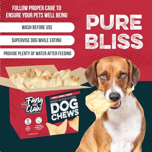 100 Count Water Buffalo Ears for Dogs, Bulk Pack, Jumbo 5-Inch - Pig Ear & Rawhide Alternative, Single-Ingredient Grass-Fed Long-Lasting Natural Dog Chews for Aggressive Chewers - style: 100 Count