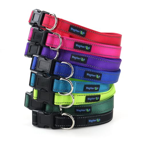 Wagtime Club Reflective Dog Collar with Buckle Quick Release Adjustable Nylon Collar for Small Medium Large Dogs (Large, Bright Blue) - color: Blue, size: l
