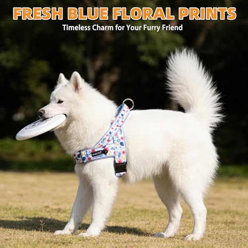 KOOLTAIL No Pull Small Dog Harness with Soft Padded and Handle, Easy Walk Puppy Vest Harness Neck & Chest Adjustable, Reflective & Lightweight Escape Proof Breathable Mesh Medium Pet Harness, Blue S - color: Blue, size: Small