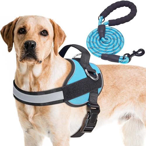 Haapaw Essential Dog Harness, No Pull Pet Vest with 3 Leash Clips, No Choke, Reflective, Adjustable and Padded, for Easy Walking and Training for Large Dogs(L, Blue) - color: Blue, size: L
