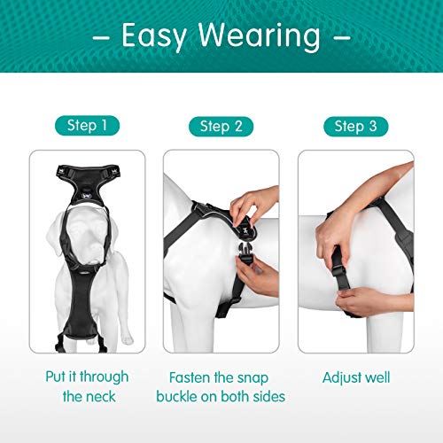PoyPet Reflective Soft Breathable Mesh Dog Harness No Choke Double Padded Vest Adjustable(Black, XS) - color: Black, size: XS