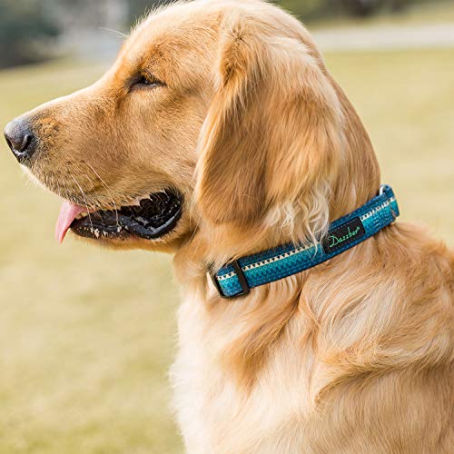 Martingale Dog Collar Turquoise Green, Neck 11"-15.5", Wide :1", Soft Durable No Pull Anti-Escape Pet Collar for Small Dogs - color: Turquoise, size: Small/Medium: 11"-15.5", 1" Wide