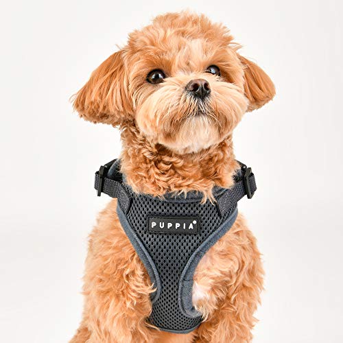 Authentic Puppia RiteFit Harness with Adjustable Neck, Black, Small - color: Black, size: Small