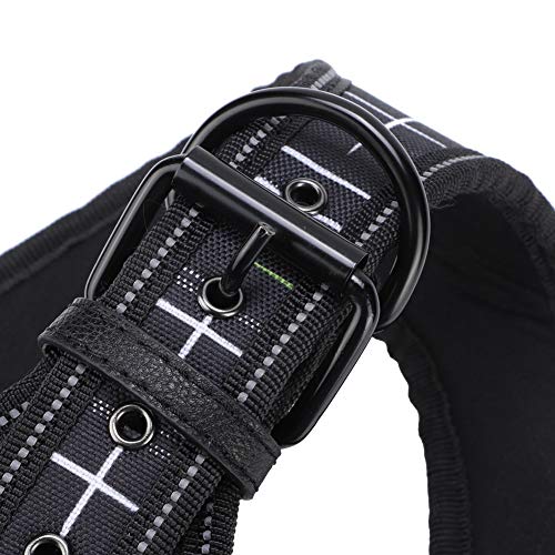 Reflective Dog Harness & Leash Set | Protective Pet Traction Suit for Night Visibility | Adjustable Dog Vest for Small/Medium/Large Breeds | Comfortable Neoprene Lining
