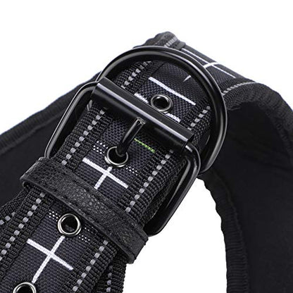 Reflective Dog Harness & Leash Set | Protective Pet Traction Suit for Night Visibility | Adjustable Dog Vest for Small/Medium/Large Breeds | Comfortable Neoprene Lining