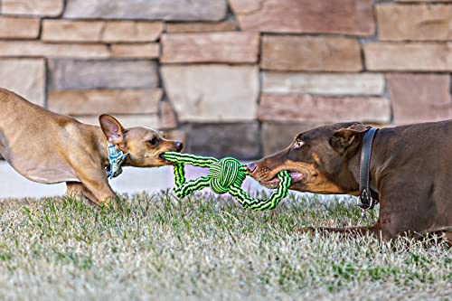 Jolly Pets Knot-N-Chew Small/Medium Gentle Tugger Rope Dog Toy - color: Gentle Tugger, size: Small/Medium