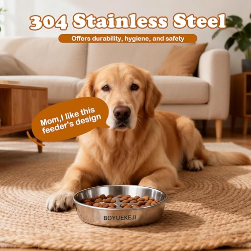 BOYUEKEJI Stainless Steel Slow Feeder Dog Bowl, 304 Grade MetalPet Food Bowl, Teddy Cat Design Insert, Healthy Feeding Solution for Dogs, Cats
