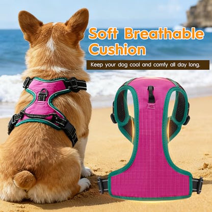 No Pull Dog Harness, No Chock Reflective Adjustable Soft Padded Pet Vest with Easy Control Handle, Easy Wearing with Stylish, Reinforced Knot, 2 Buckles - color: Pink/Turquoise, size: X-Small