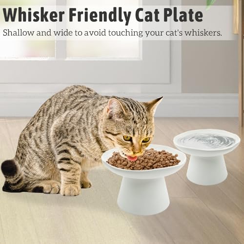 VCEPJH Raised Cat Food Bowls Shallow Cat Plate Pack of 2 Ceramic Elevated Cats Dish 6.1in Flat Anti Whisker Fatigue Wide Pet Food & Water Feeder for Indoor Kitty Kitten (White) - color: White